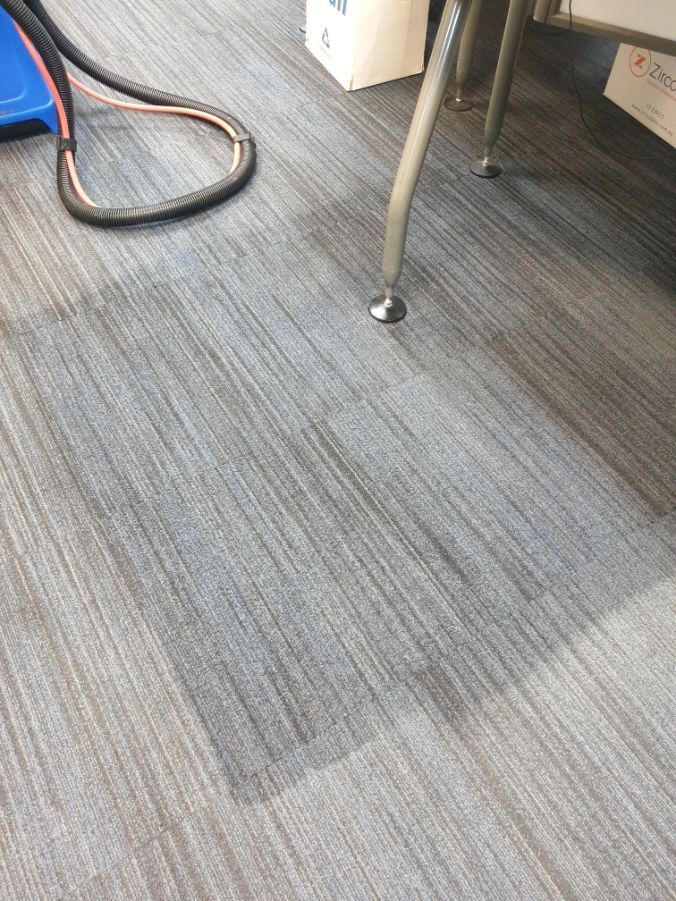 After Cleaning The Carpet — Cleaners in Sunshine Coast, QLD