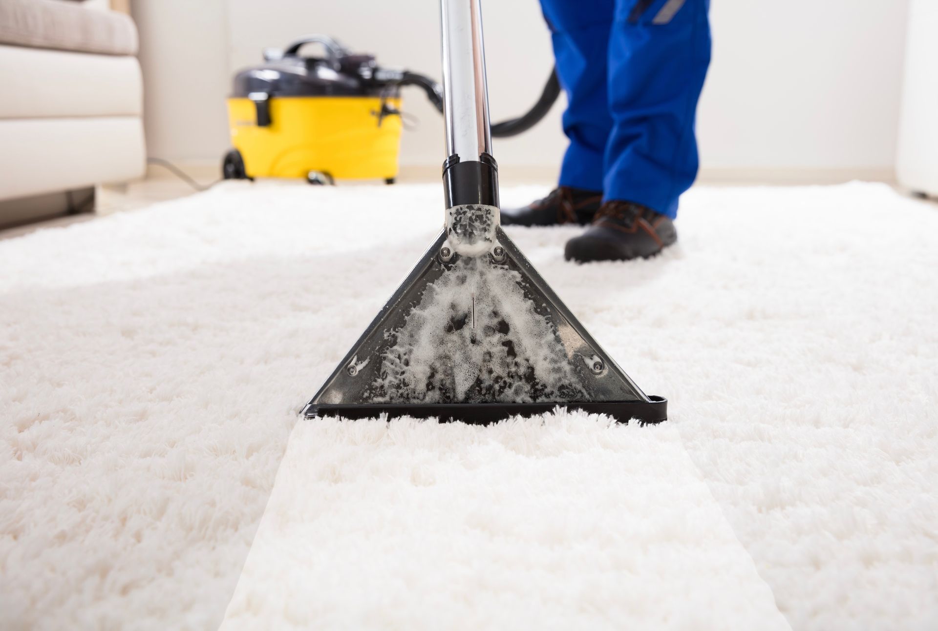 A person is cleaning a white carpet with a vacuum cleaner.
