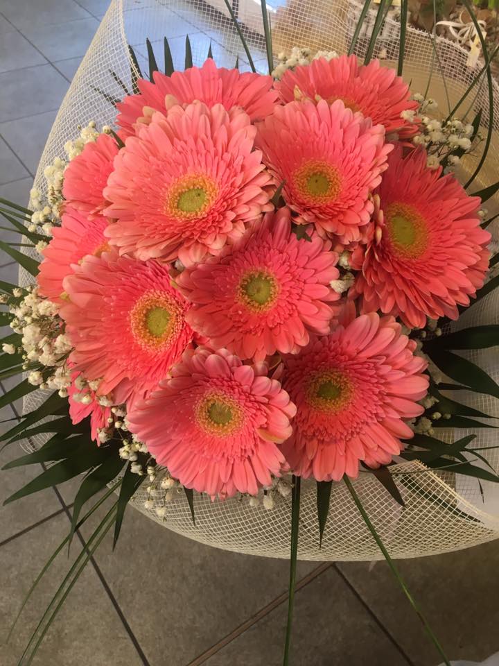 mazzo di gerbere