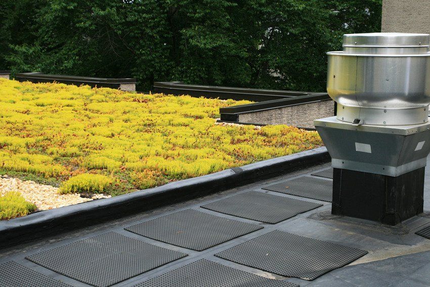 Green roofing