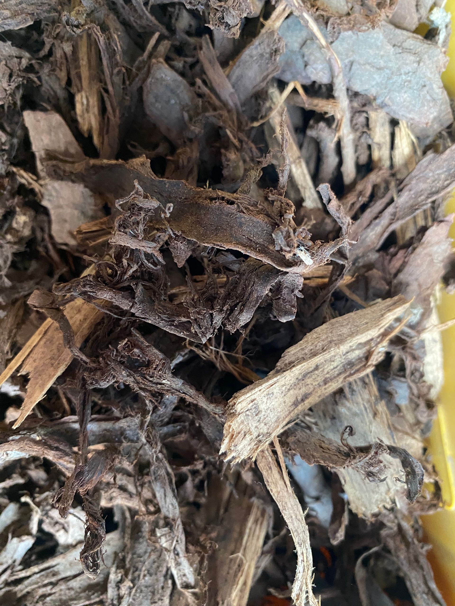 A close up of a pile of wood chips on a table.