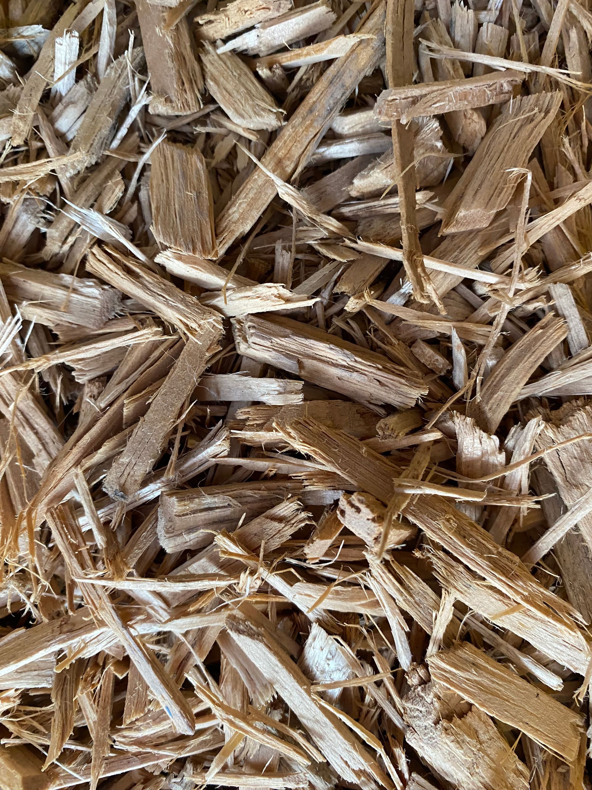 A close up of a pile of wood chips.
