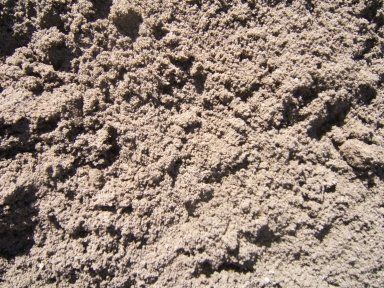 A close up of a pile of sand on the ground