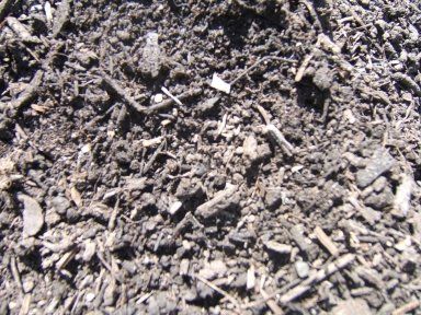 A pile of dirt with a few pieces of wood in it