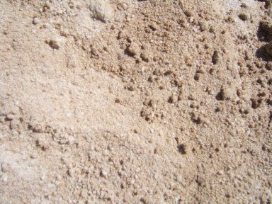 A pile of sand with a lot of small holes in it