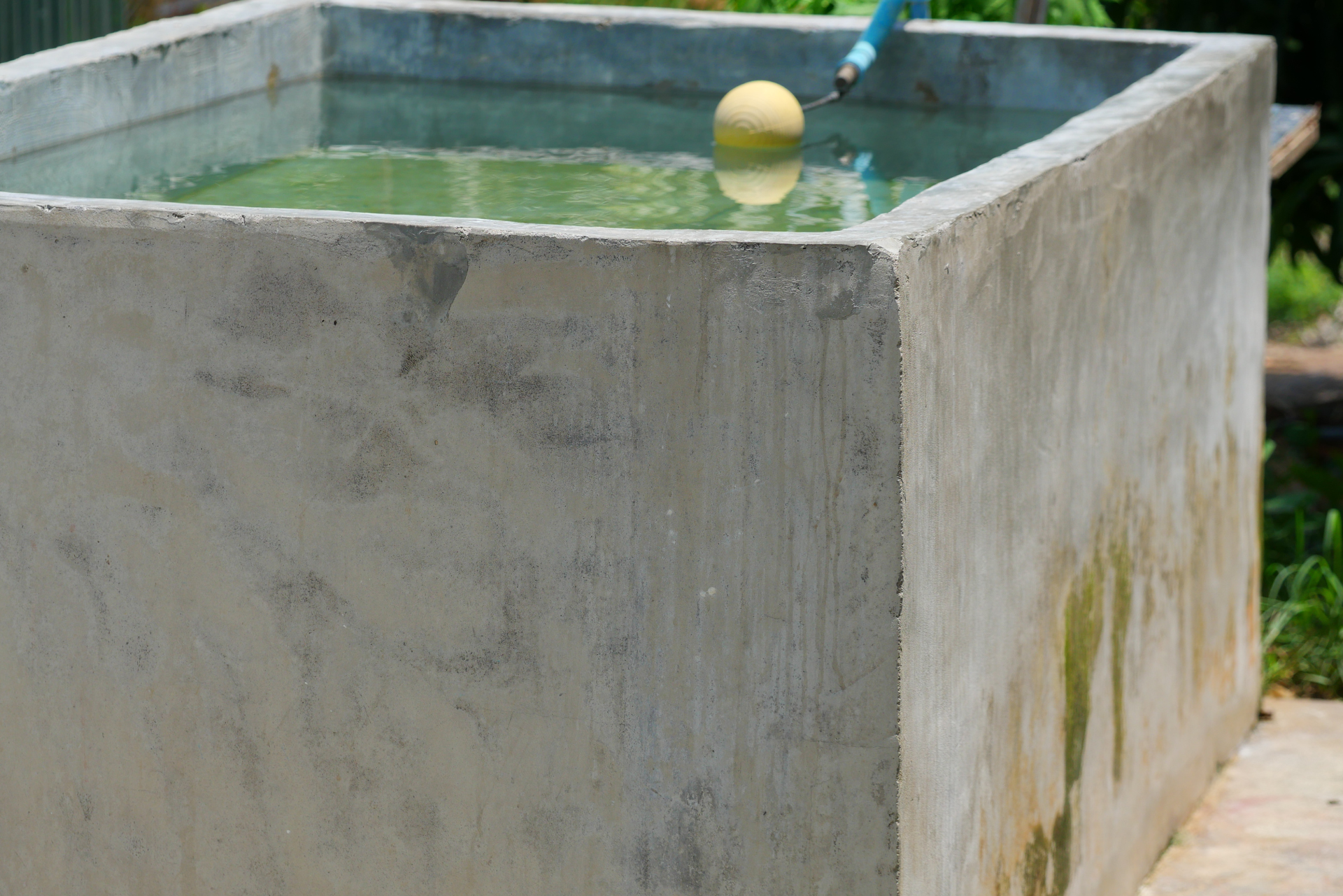 Tanque de água de concreto, cheio de água verde, flutuador amarelo, ao ar livre.