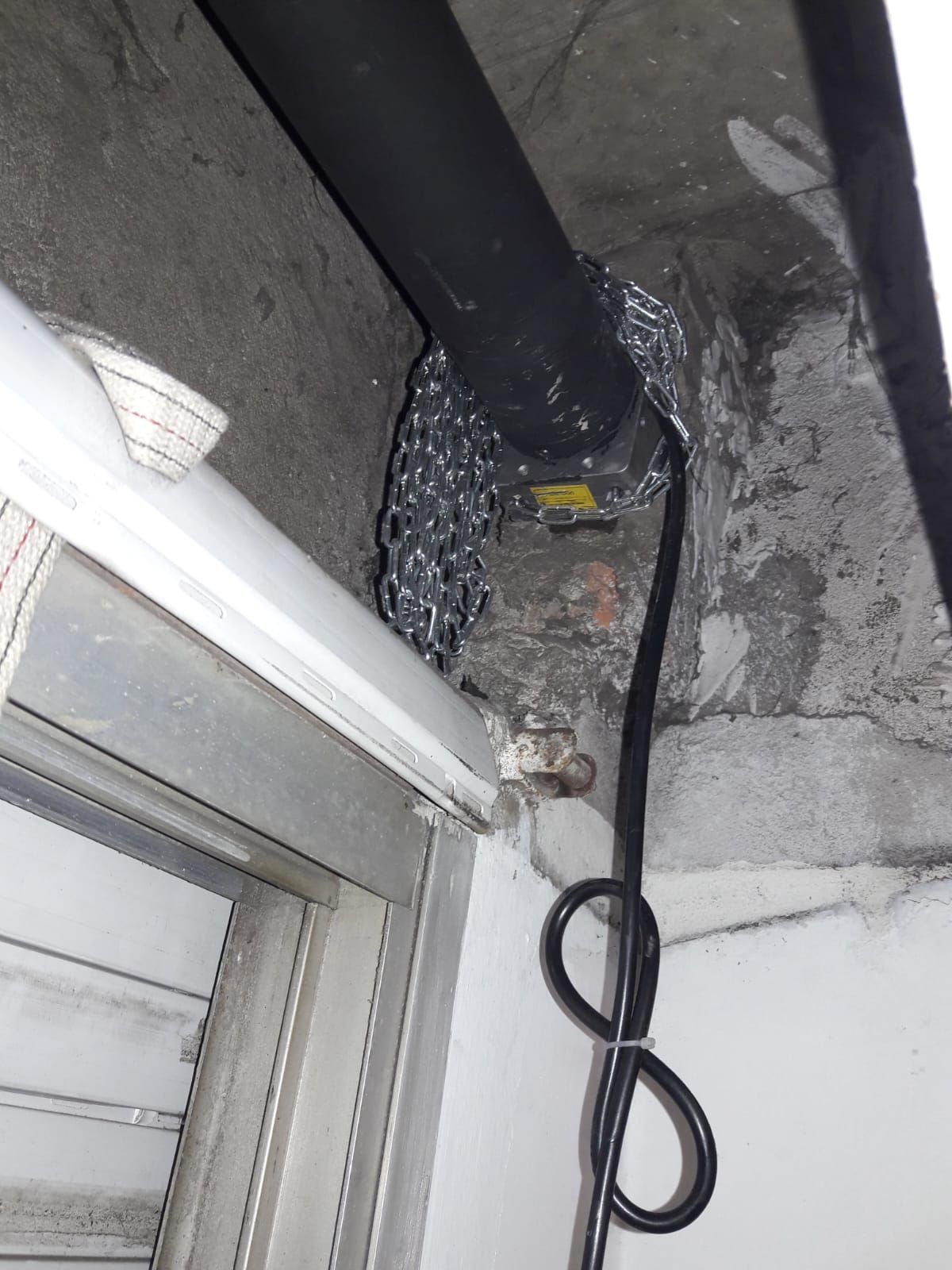 Una serpiente cuelga del techo junto a una ventana.