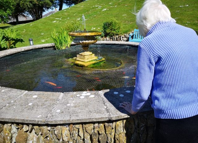 resident looking at the goldfish pond