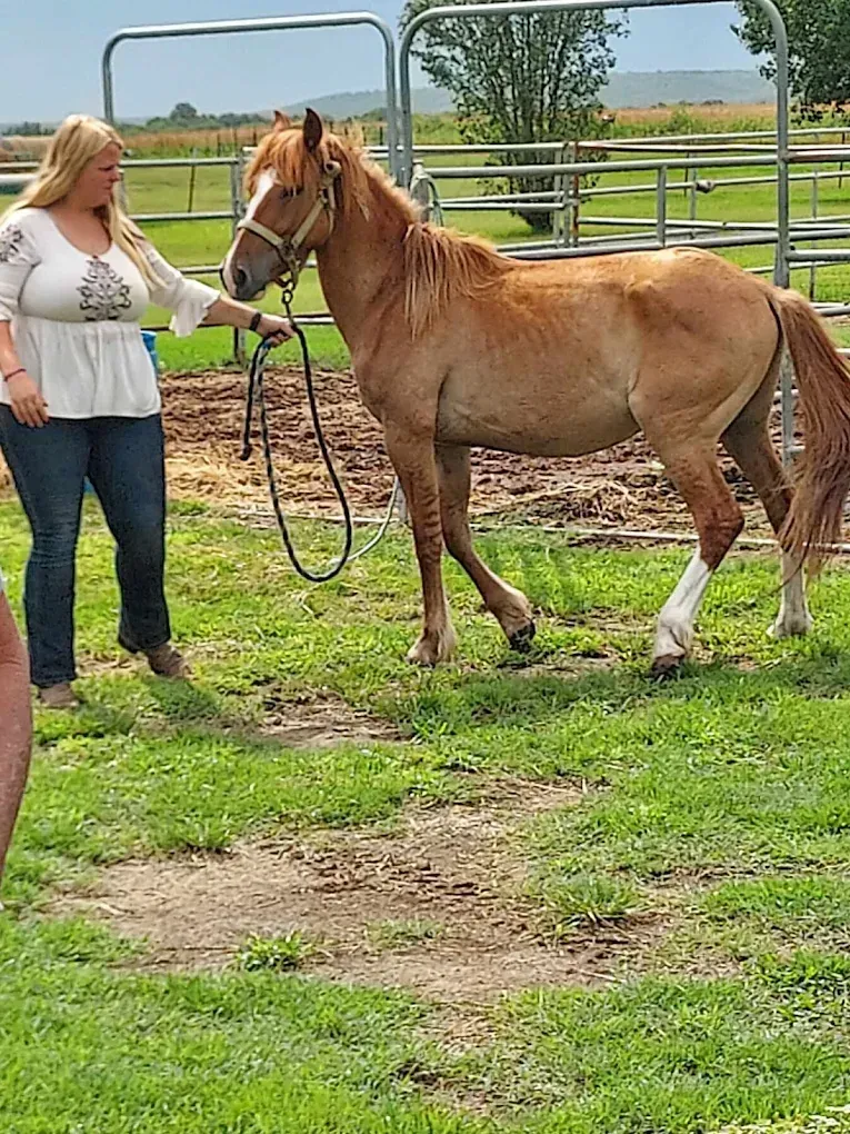 A woman is standing next to a brown horse in a field.