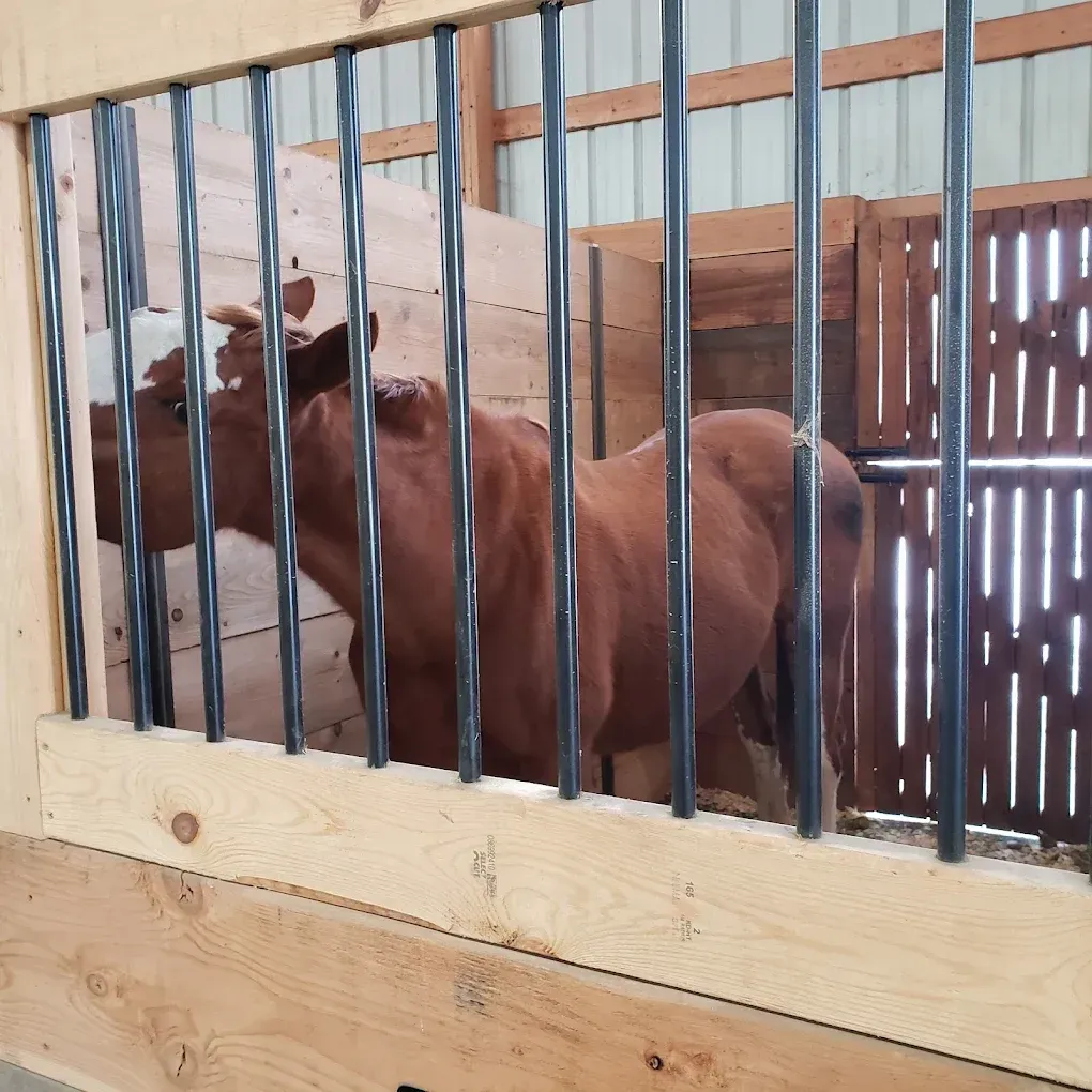 A brown horse is behind bars in a wooden stable