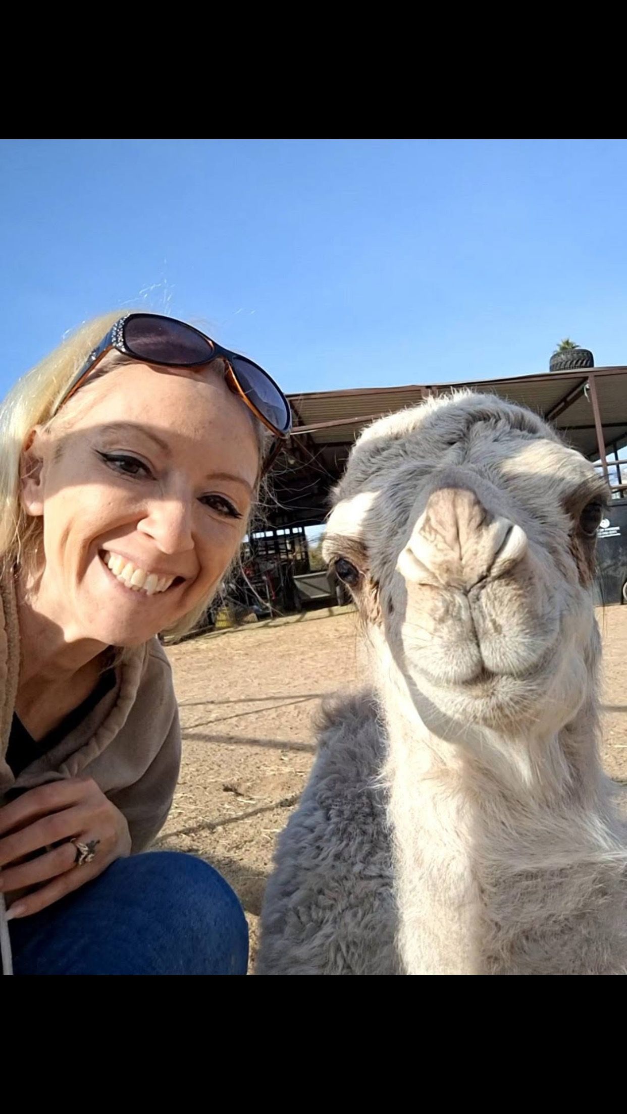 A woman is taking a selfie with a llama.