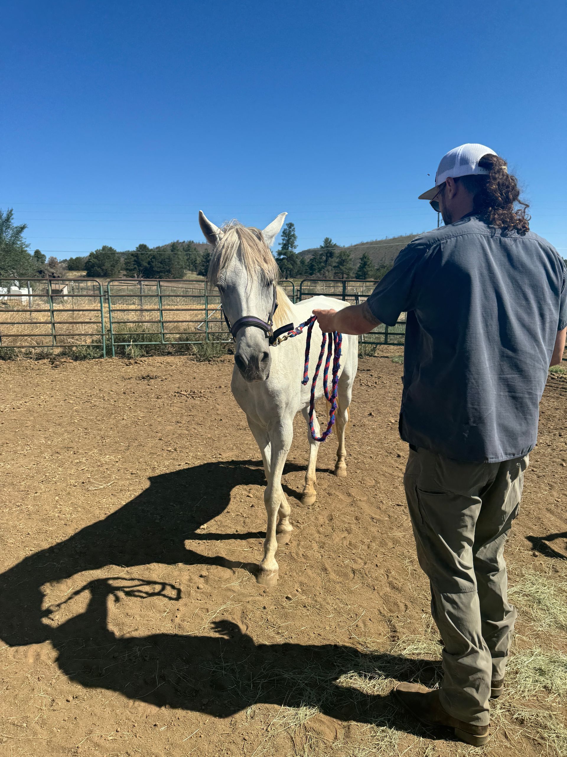 A man is standing next to a white horse in a dirt field.