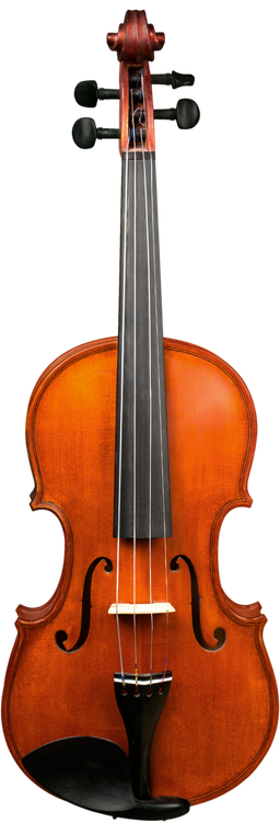 A close up of a violin on a white background.