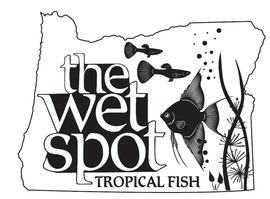 The Wet Spot