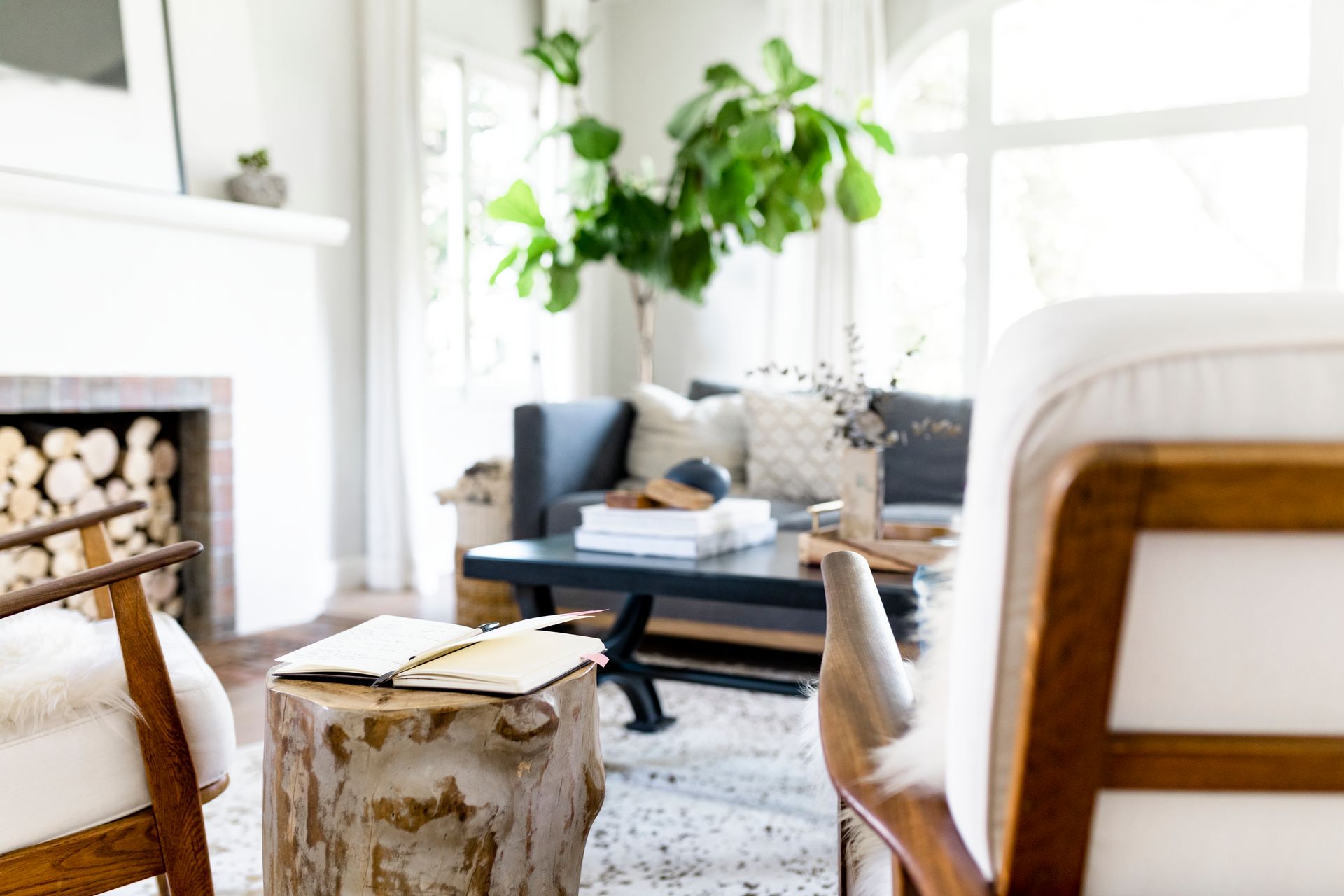 Living room: light-filled, neutral tones. Wooden chairs, tree stump table, black coffee table, and large plant.