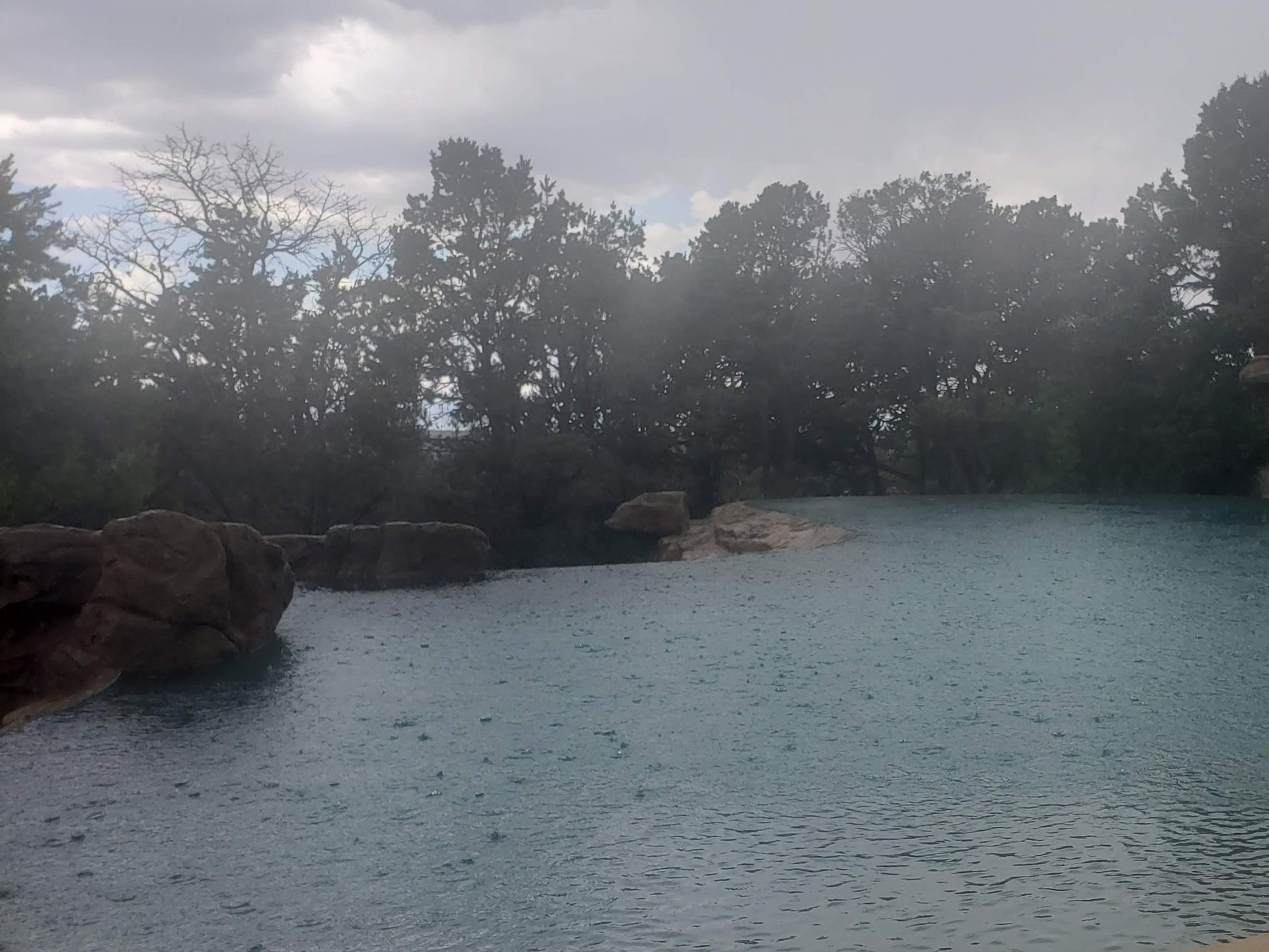 A Large Body of Water Surrounded by Trees on a Cloudy Day