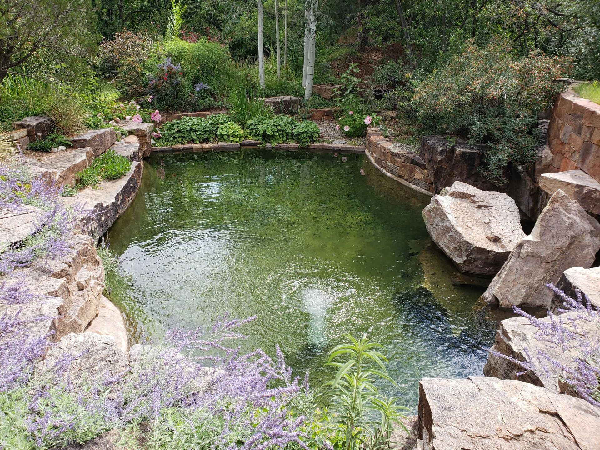 Pool Services