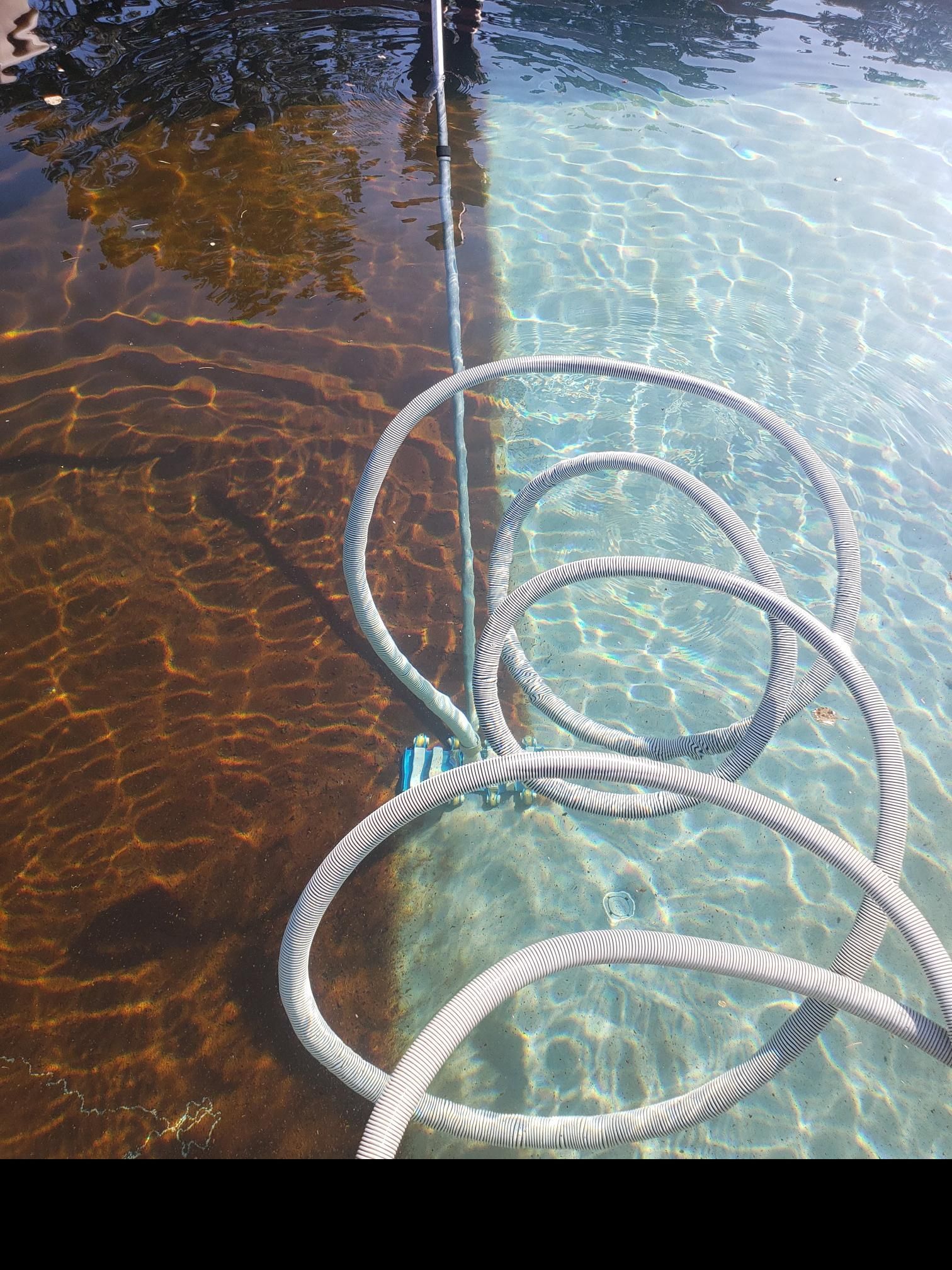 A Hose is Sitting in the Middle of a Swimming Pool