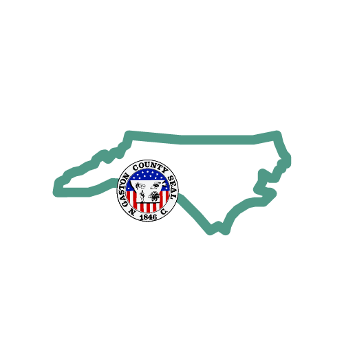 Outline of North Carolina with Johnston County seal in the center. The outline is teal and the seal is red, white, and blue.