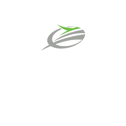 Gray and green stylized logo of a shape resembling an egg with curved lines and a green swoosh.