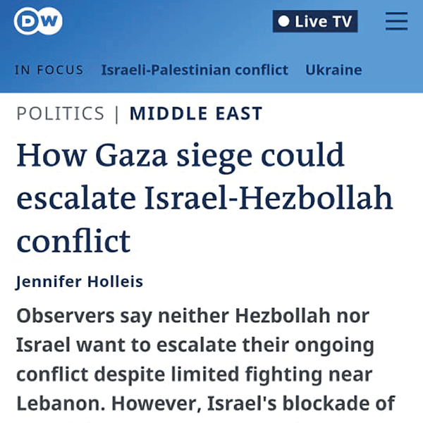 Screenshot of the article on the Deutsche Welle website