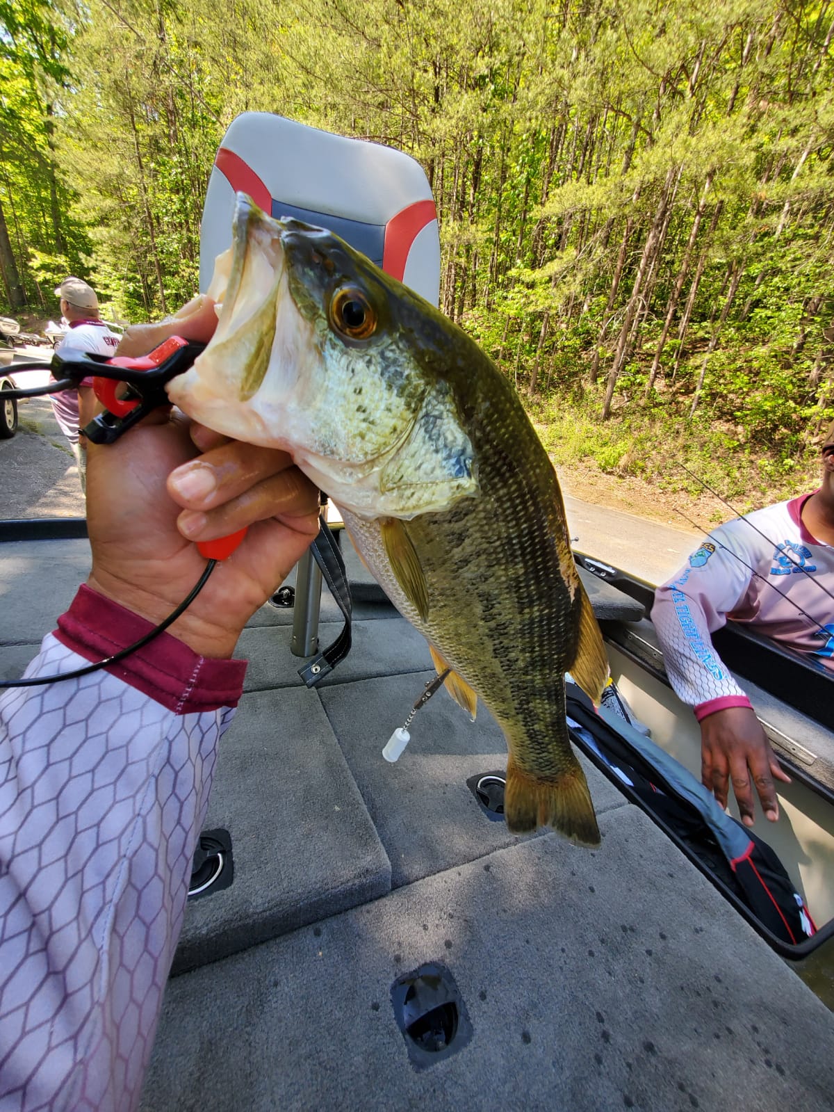 Person holding a bass fish on a boat, trees in the background.