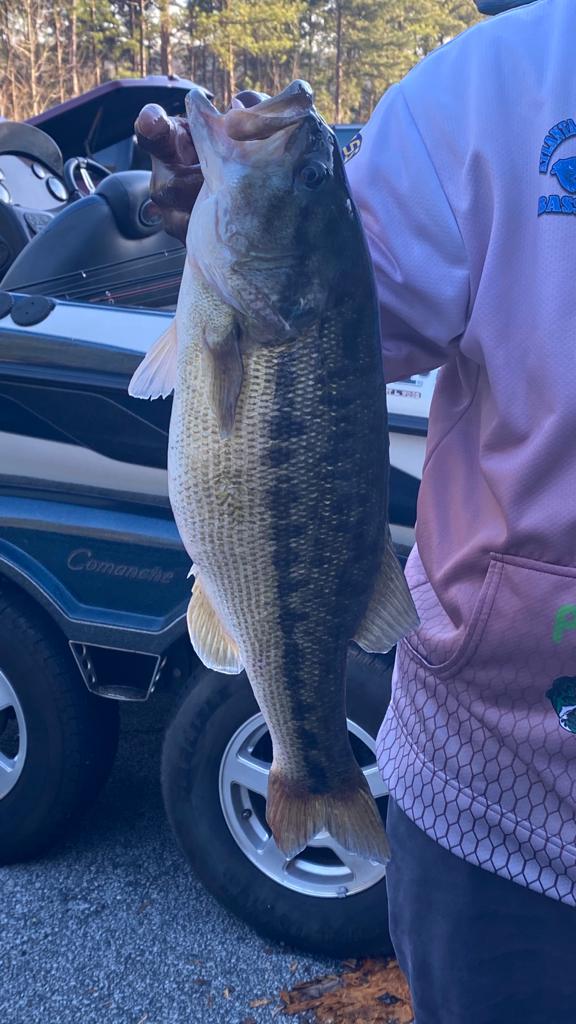 Person holding a large largemouth bass next to a boat. The fish is pale with dark blotches.