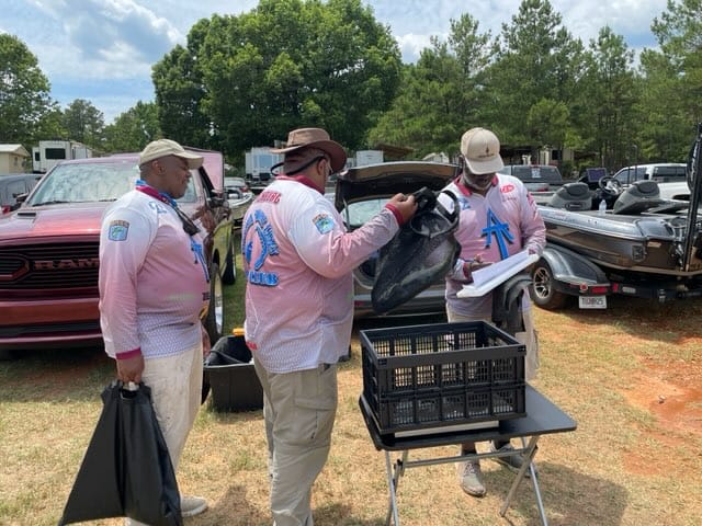 Three men in pink shirts weigh fish from a black bag, likely at a fishing tournament.