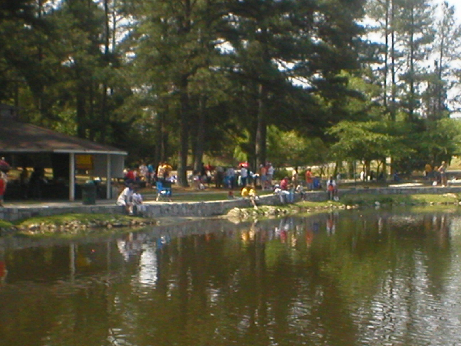 People fishing by a lake with a covered shelter, trees, and a grassy area.