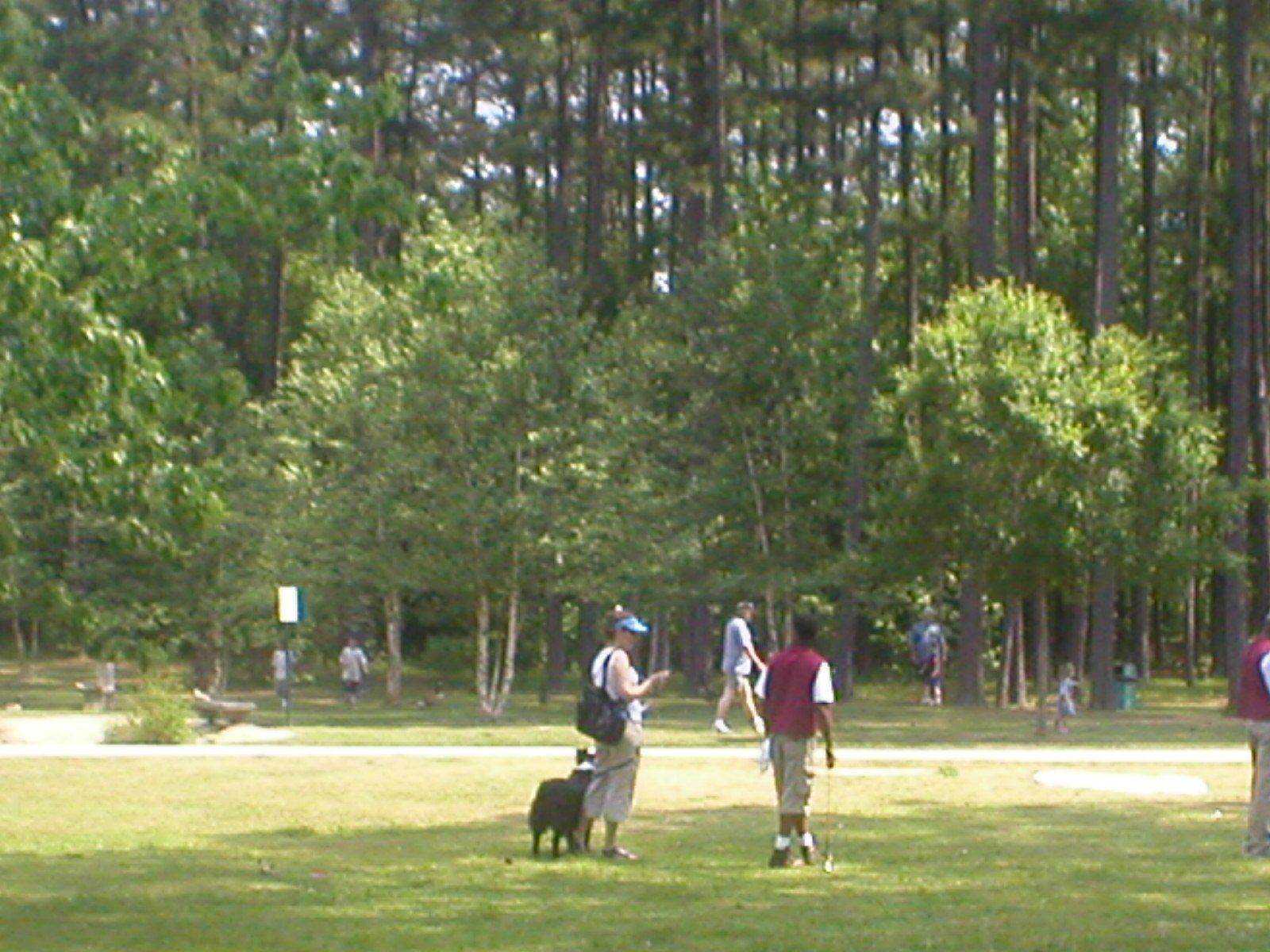 People walking in a grassy park, some with dogs. Trees in background, sunny day.