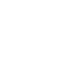 Icona - Servizio completo