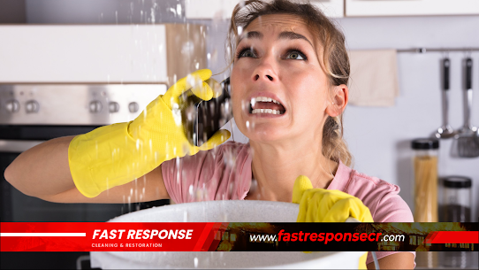 Why You Should Hire A Water Damage Professional To Prevent Mold