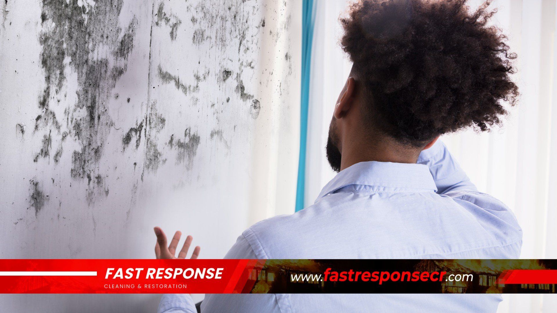 Black Mold Removal In Savannah, GA