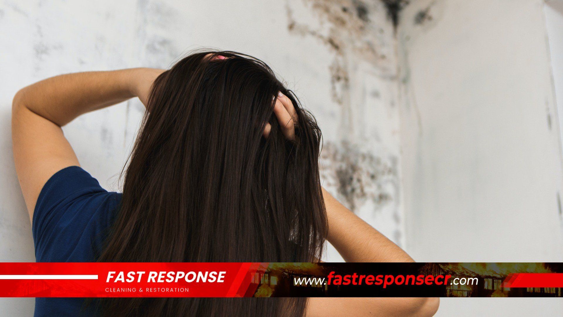 Black Mold Removal In Port Wentworth, GA