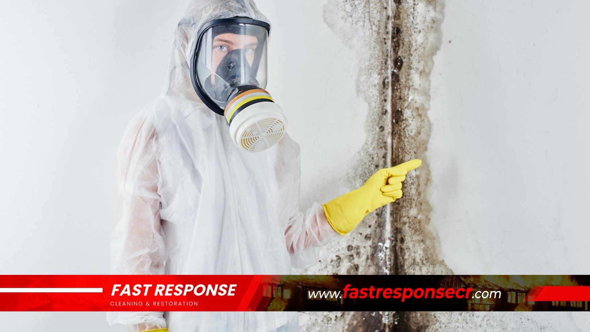 Black Mold Removal In Pooler, GA