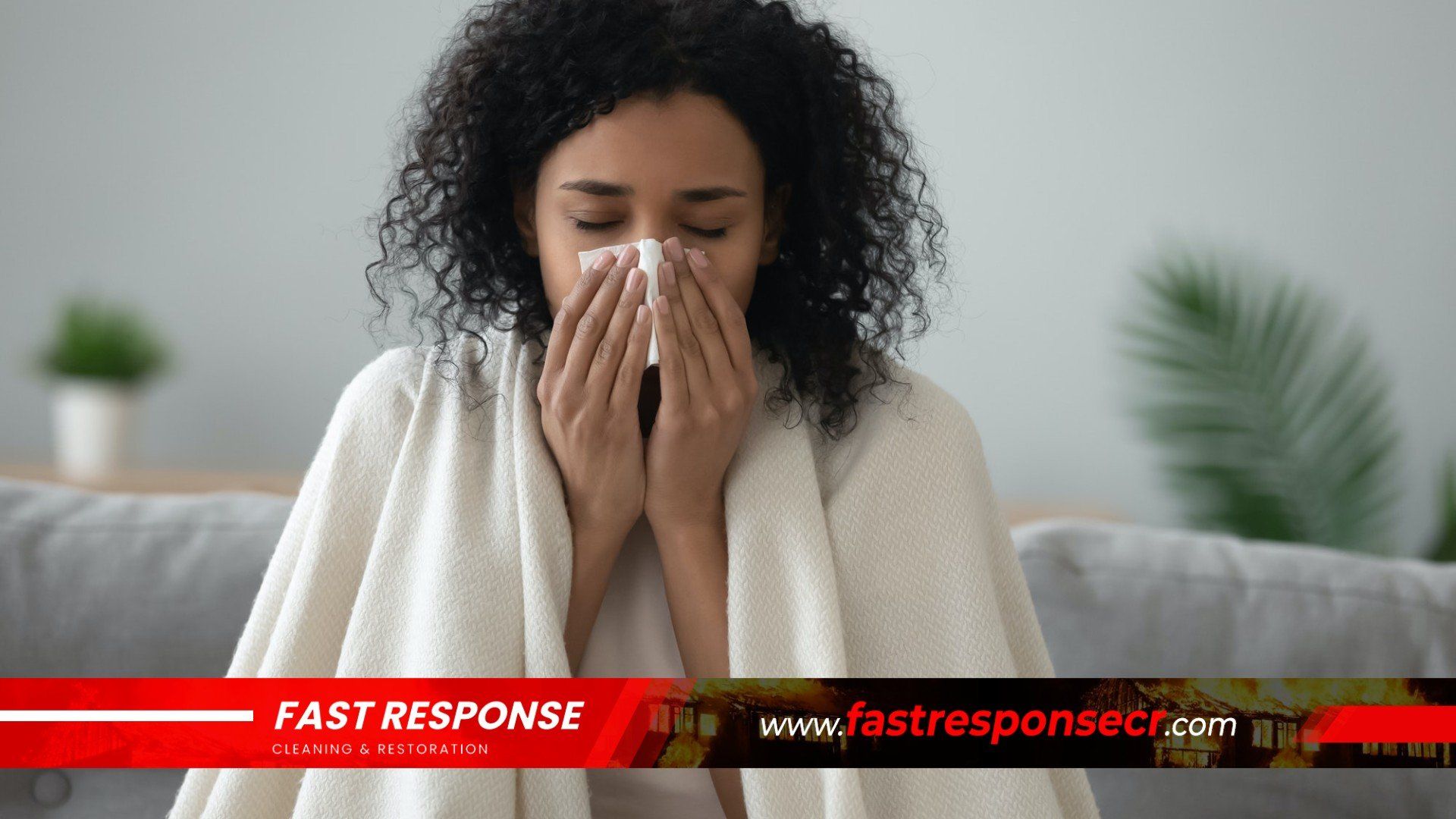 Black Mold Removal In Yemassee, SC