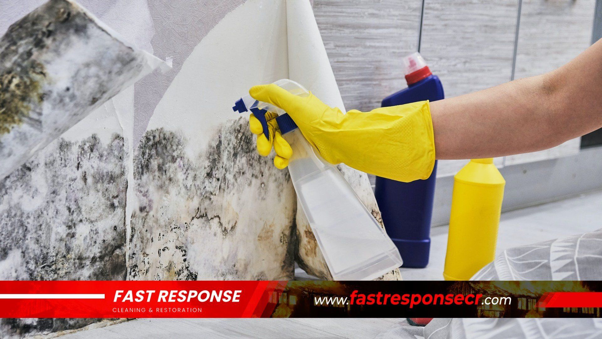 Black Mold Removal In Laurel Bay, SC