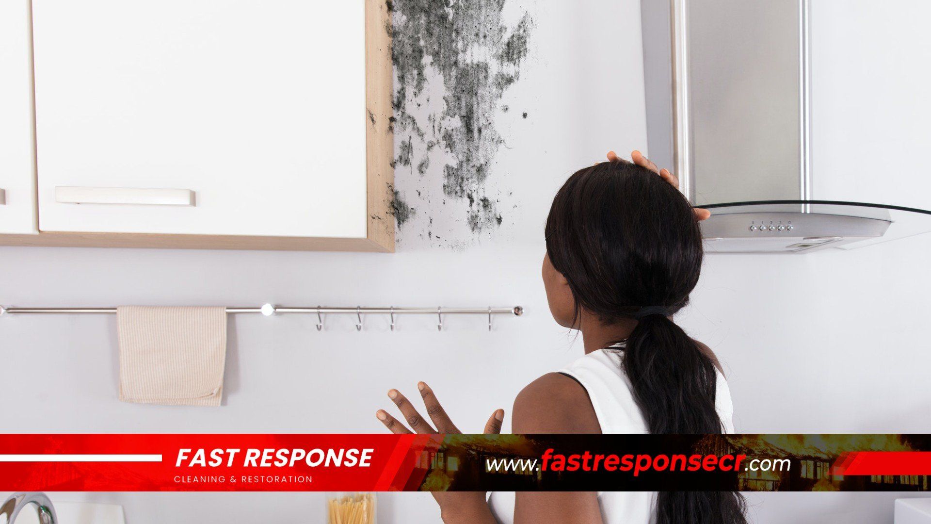Black Mold Removal In Hardeeville, SC