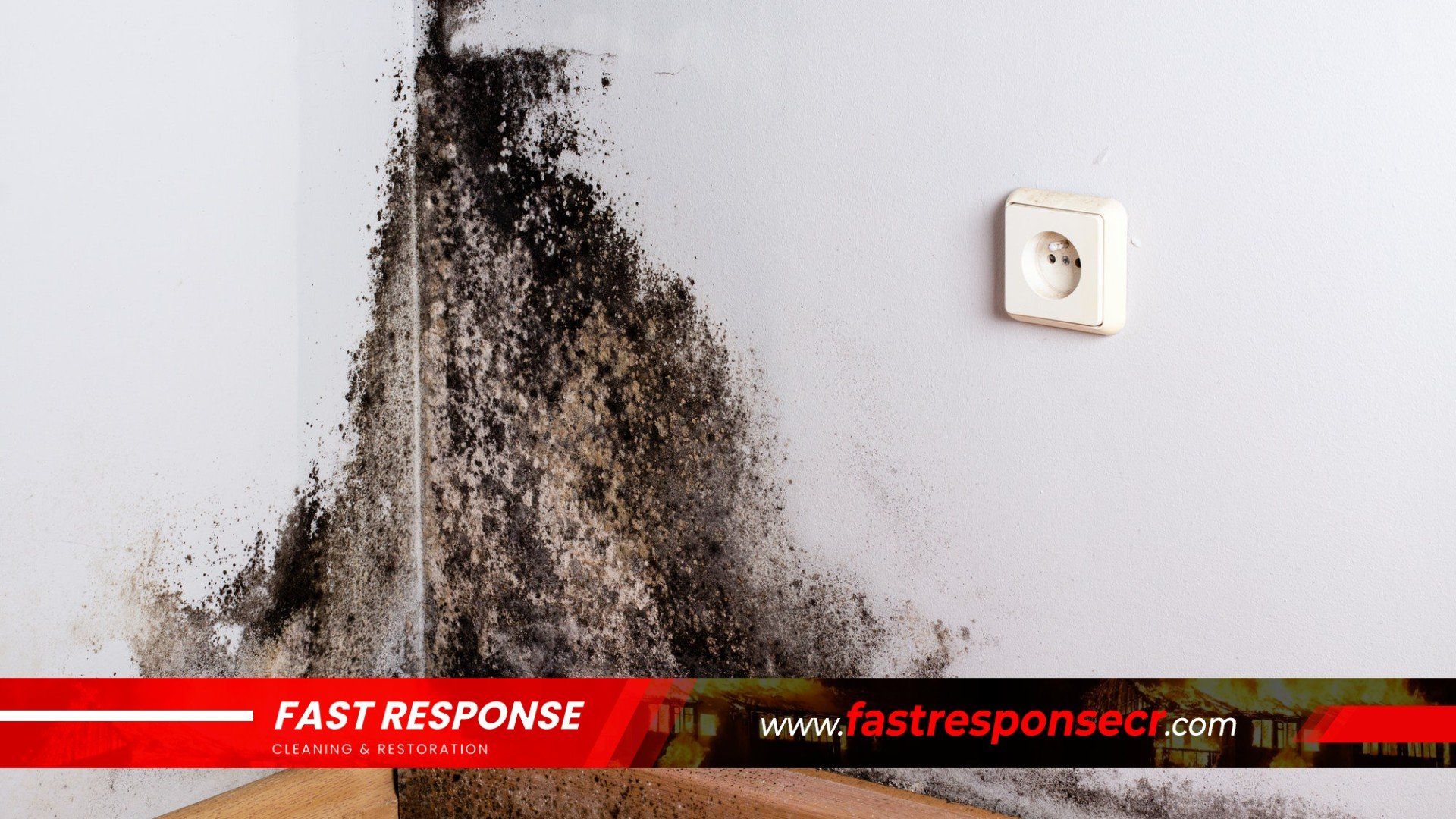 Black Mold Removal In Wilmington Island, GA