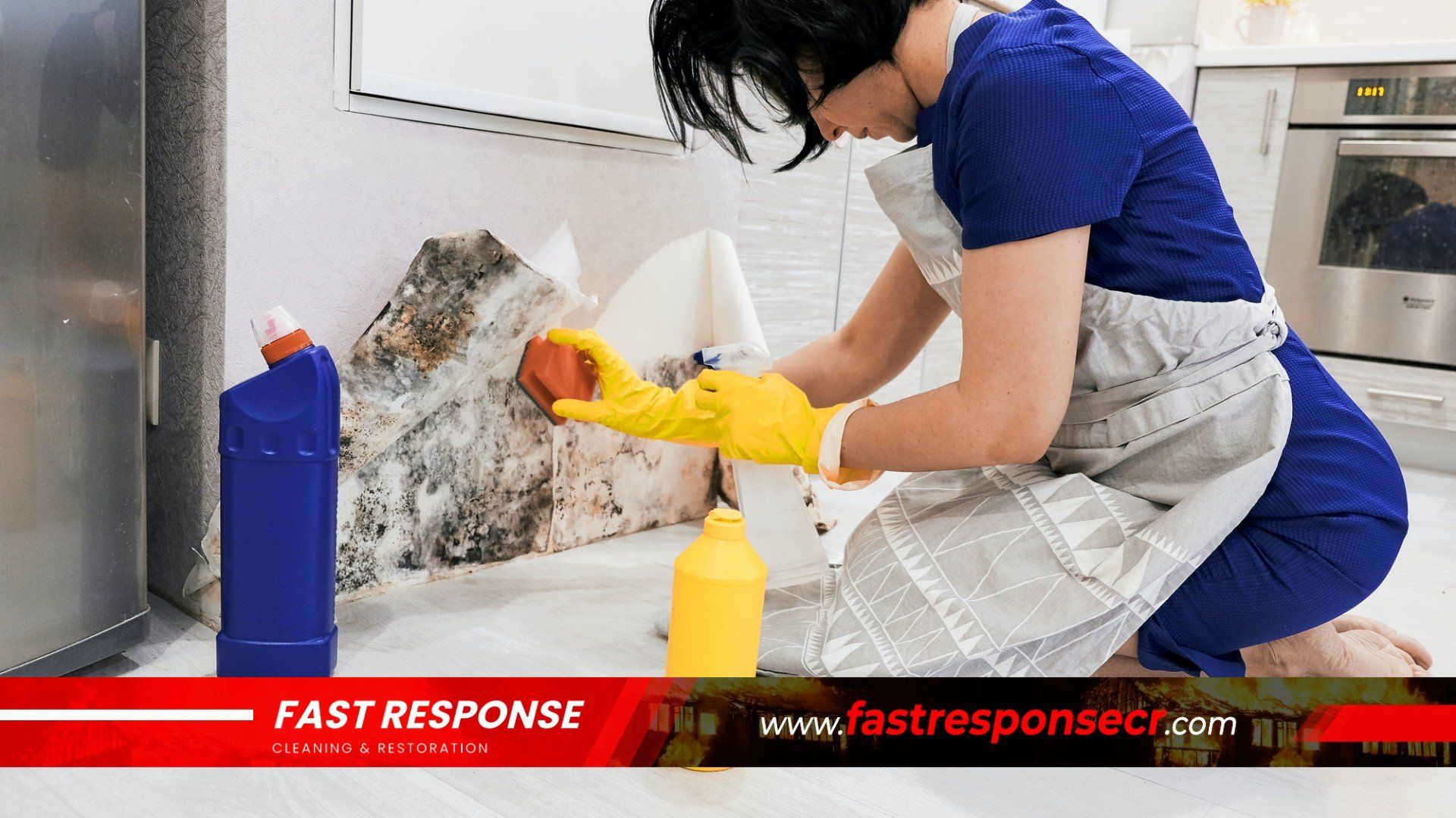 Black Mold Removal In Tybee Island, GA