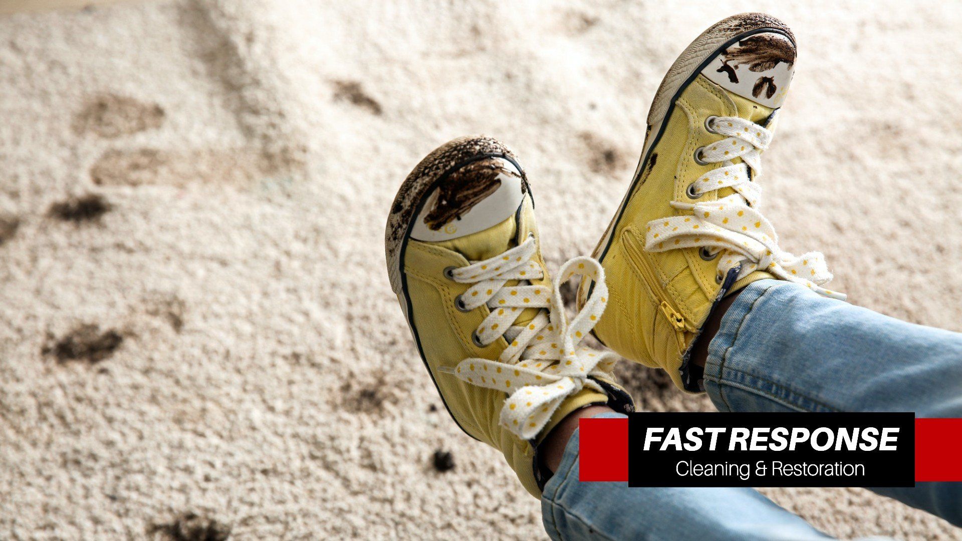 Best Carpet Cleaning Company In Wilmington Island, GA