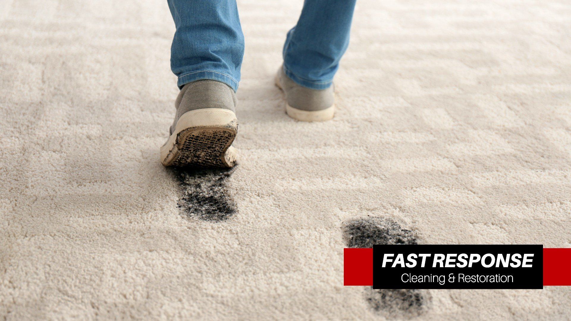 Best Carpet Cleaning Company In Whitemarsh Island, GA