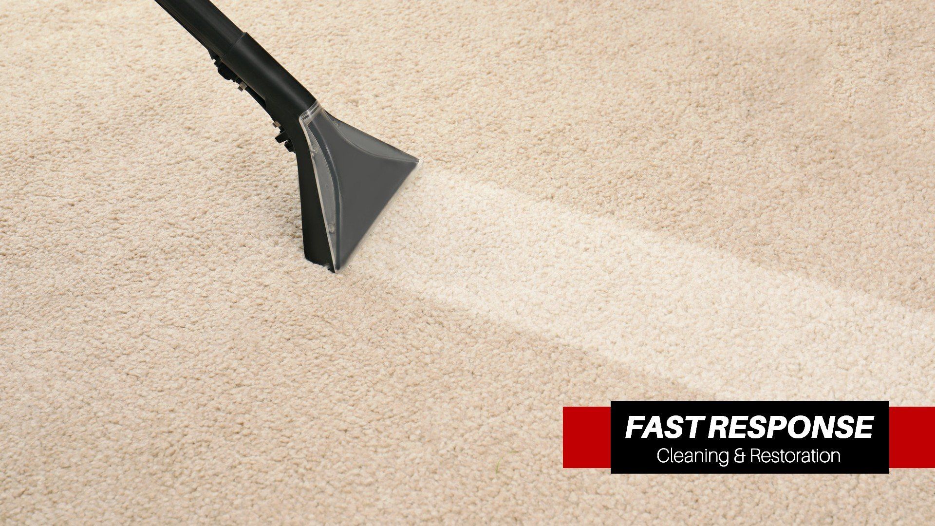 Best Carpet Cleaning Company In Thunderbolt, GA