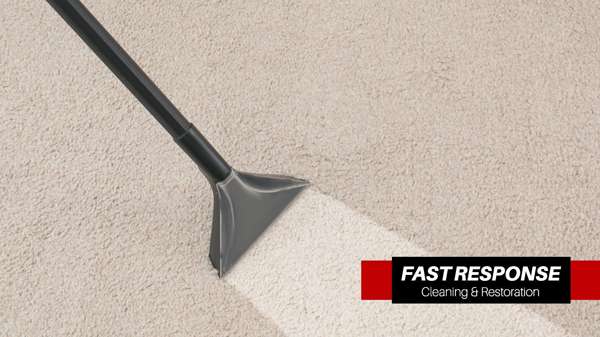 Best Carpet Cleaning Company In Savannah, GA