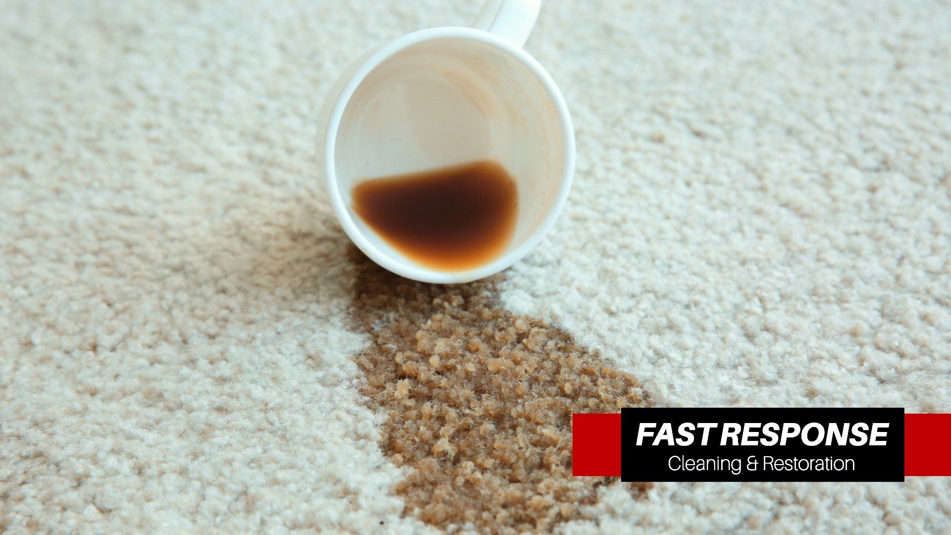 Best Carpet Cleaning Company In Shell Point, SC
