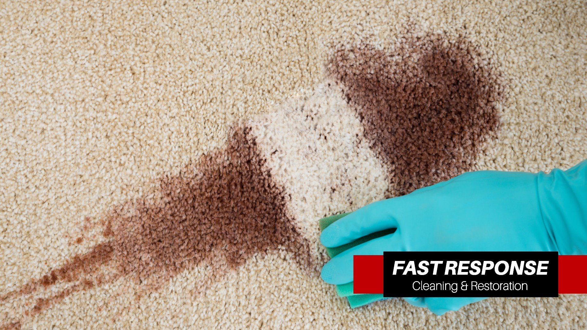 Best Carpet Cleaning Company In Burton, SC