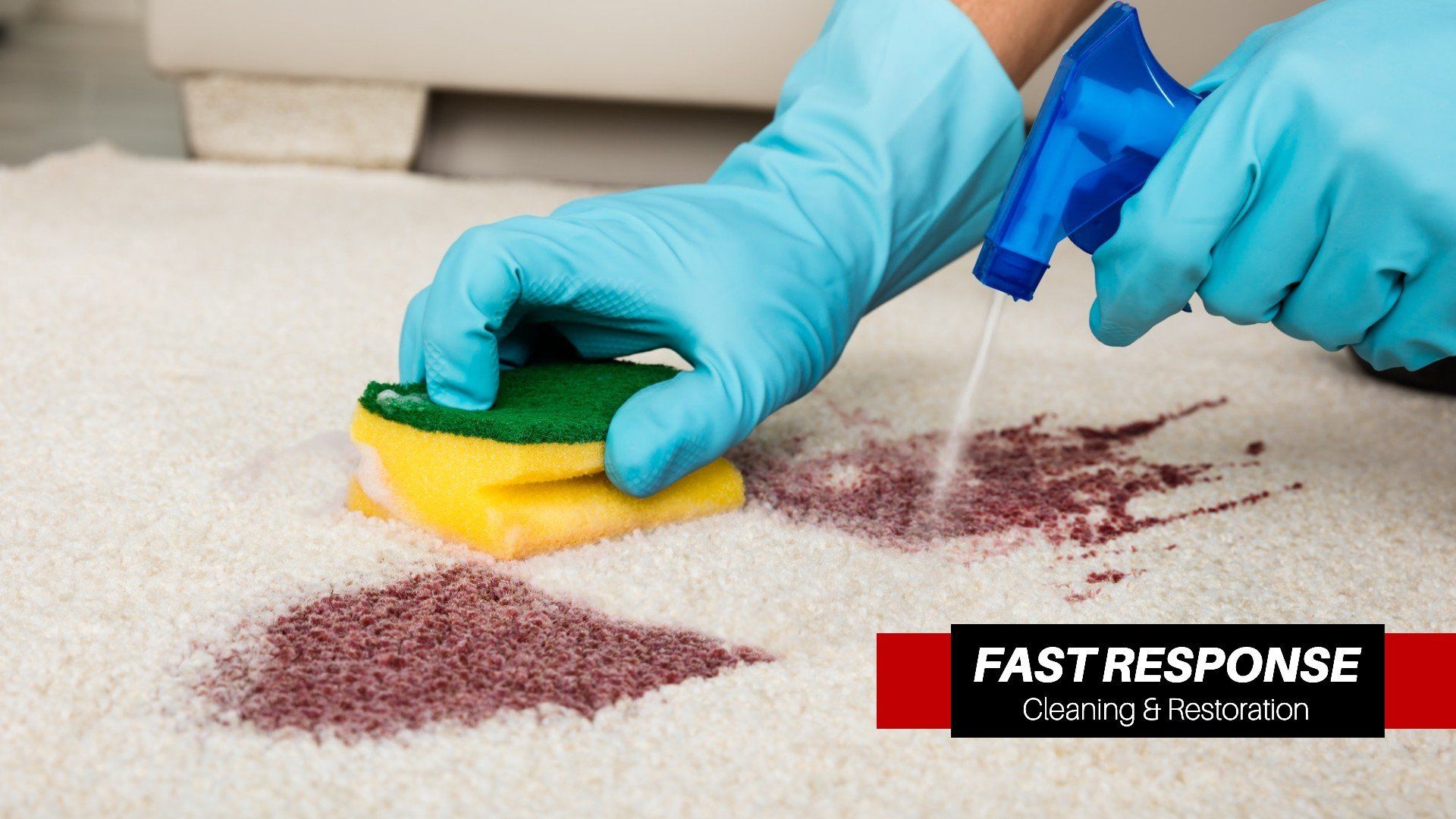Best Carpet Cleaning Company In Hilton Head Island, SC