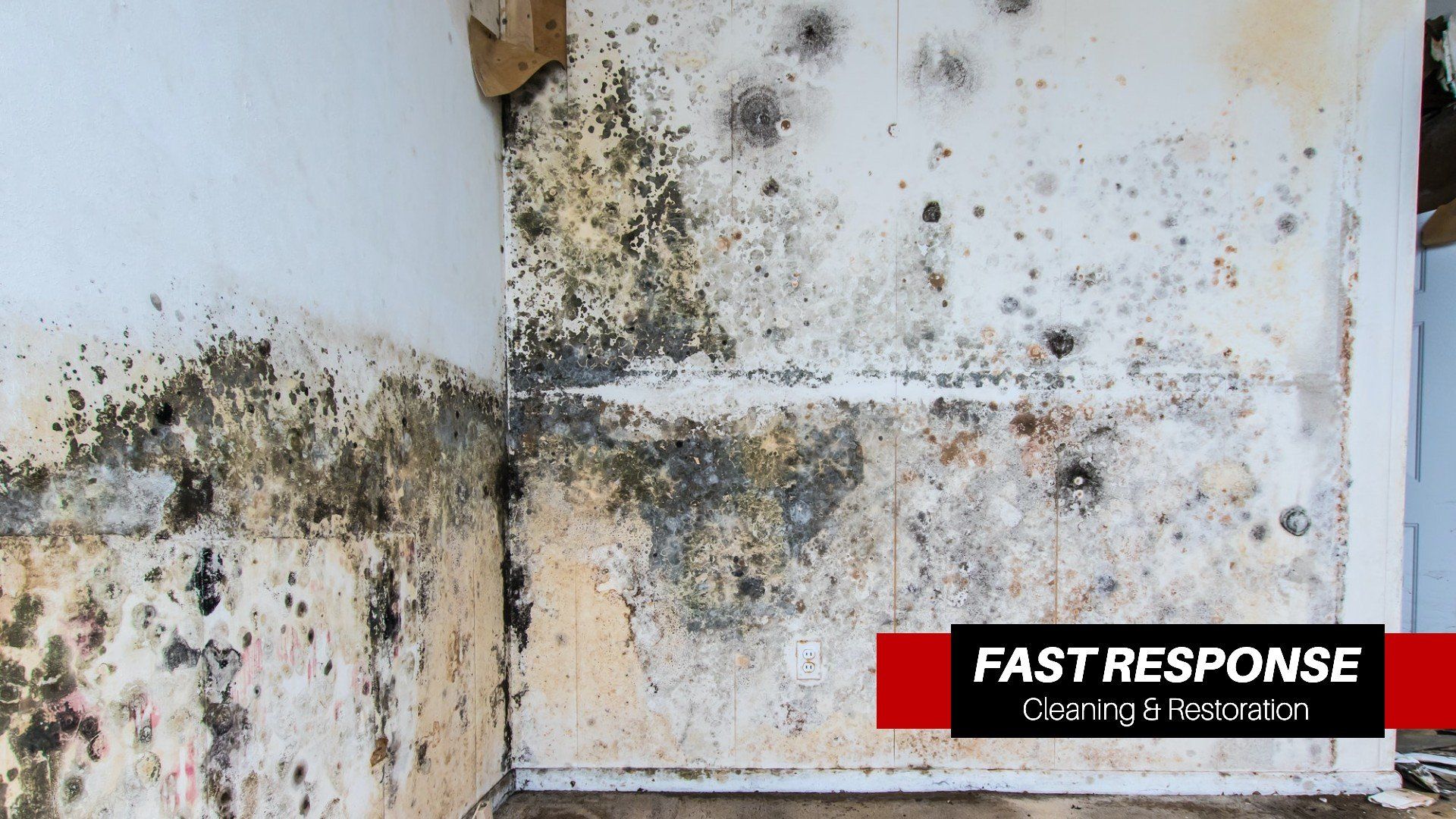 Home Remediation In Wilmington Island, GA