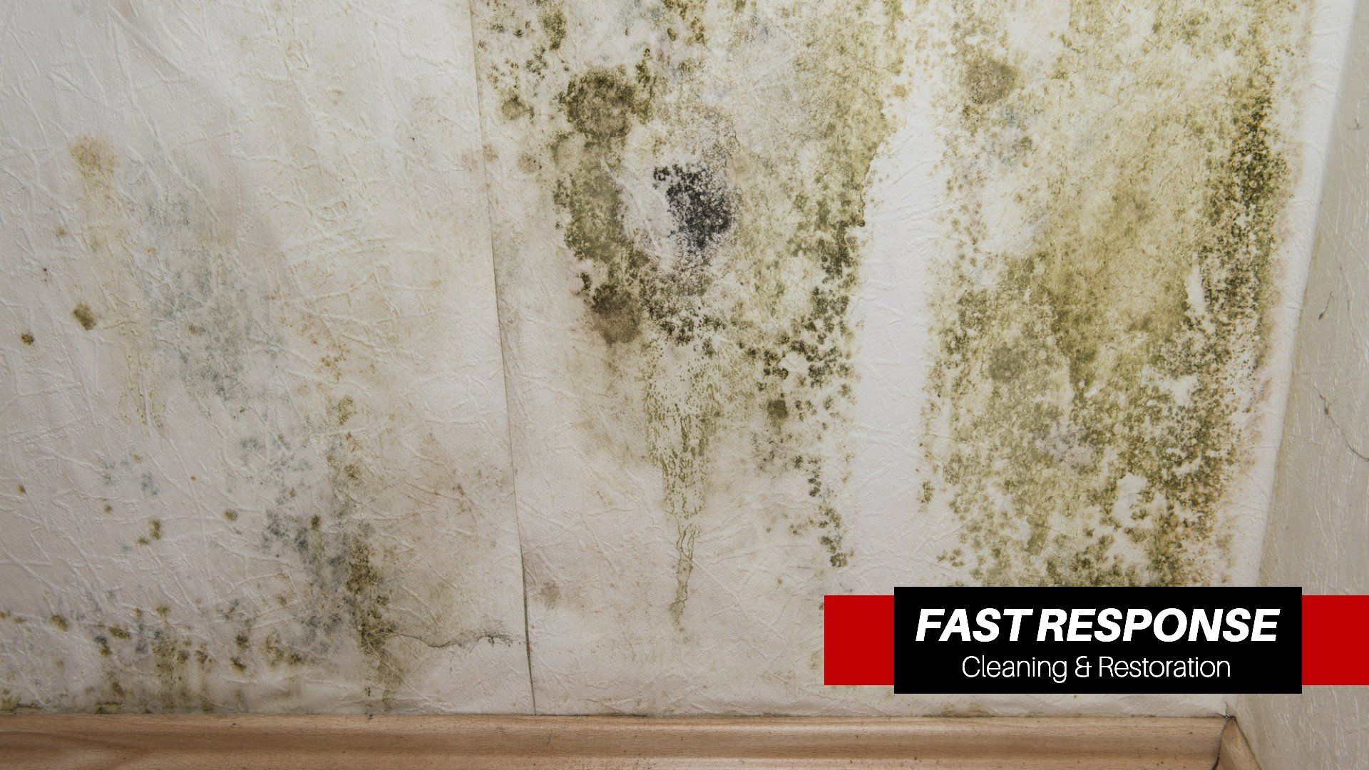 Home Remediation In Bloomingdale, GA