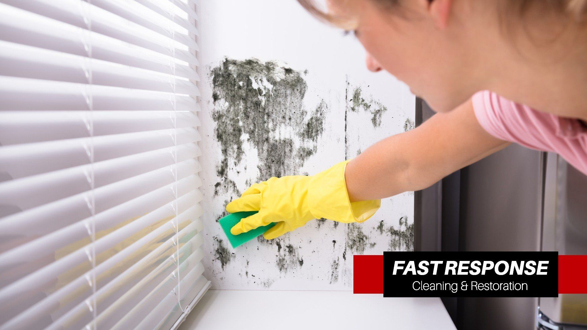 Home Remediation In Port Royal, SC